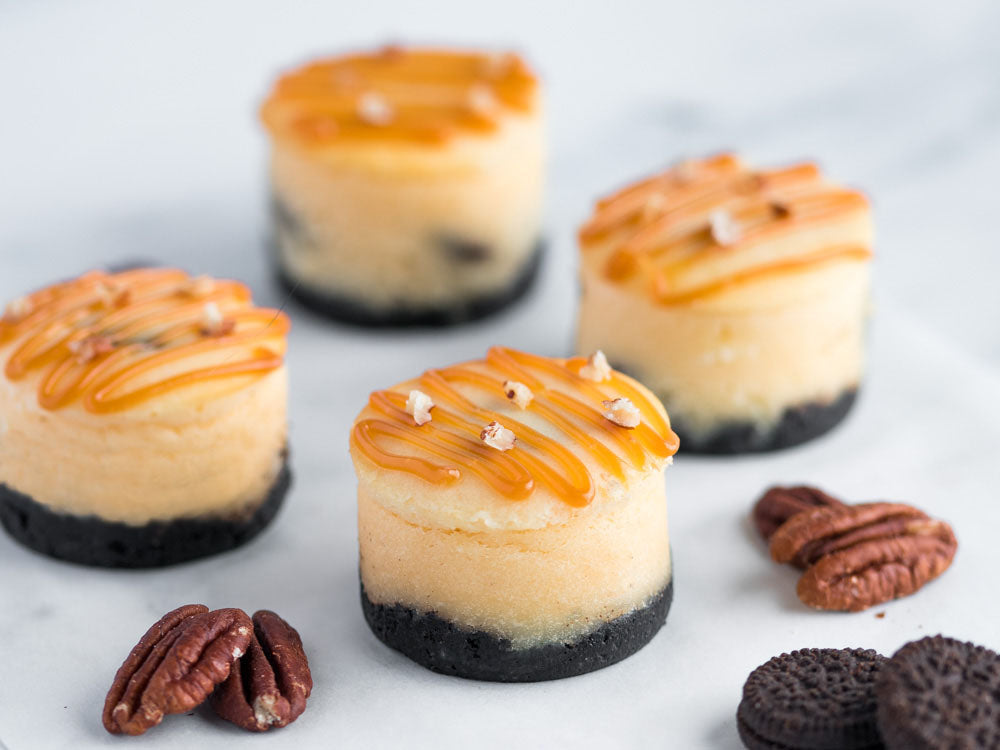 Turtle Mini Cheesecake
