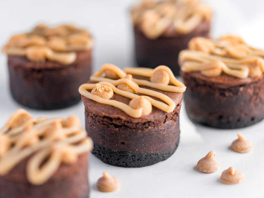 Peanut Butter Chocolate Mini Cheesecake